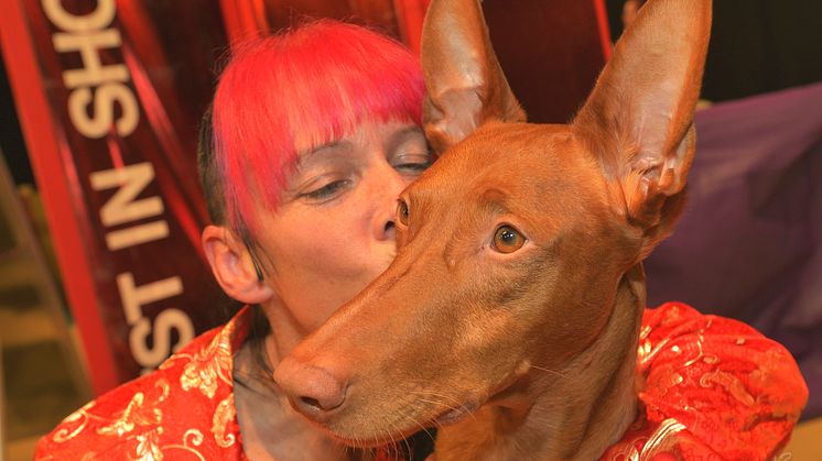 Faraohund blev Best in Show