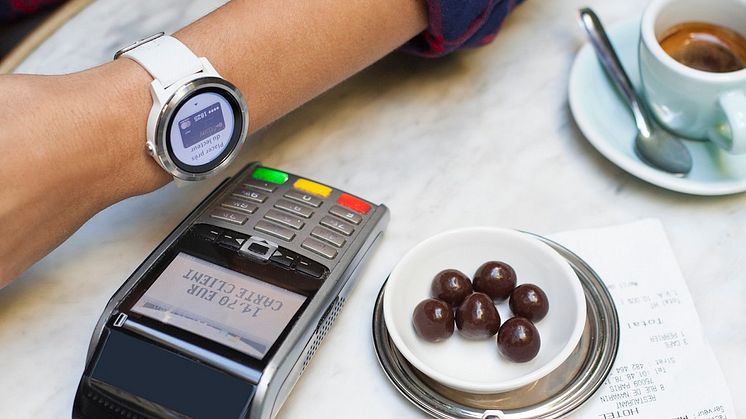 Garmin Pay Lifestyle 