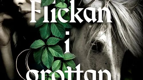 Flickan i grottan omslag
