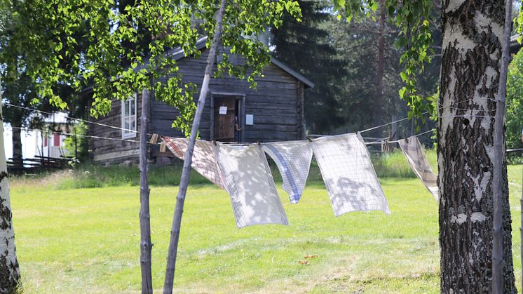 Svensbyliden