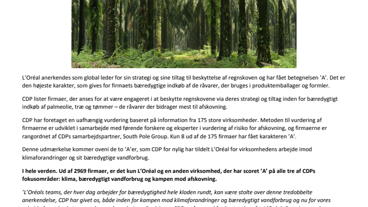 MILJØ OG KLIMA: L’Oréal er et af kun to firmaer i verden der har fået betegnelsen ’AAA’ af CDP  for at beskytte regnskovene