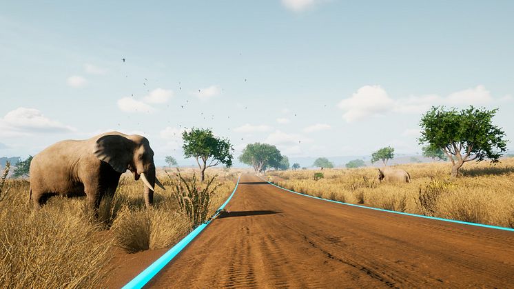 savanna_elephant_day