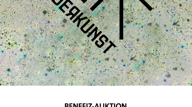 Auktionskatalog - WIDE(R)KUNST