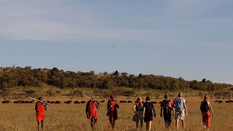 På gå-Safari på savannen i Masai Mara, Kenya