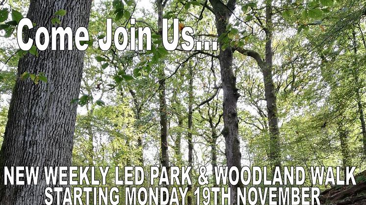 ​New guided walk through Chesham Wood and parkland