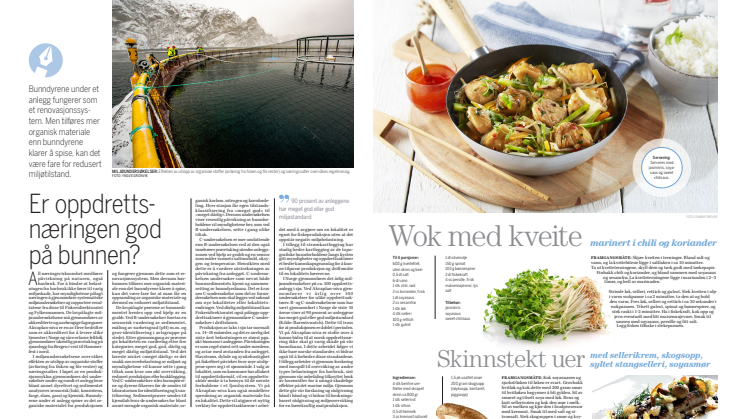 Artikkelen i Fiskeribladet