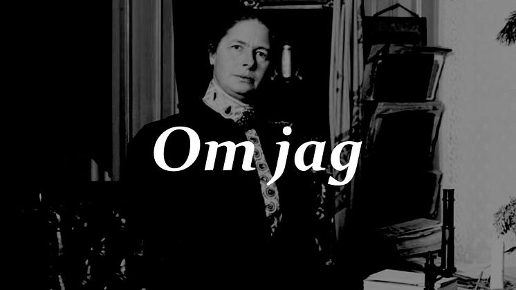 Utställningen Kvinnokraft