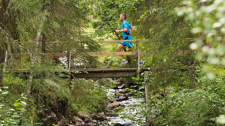 Snart dags för UltraVasan
