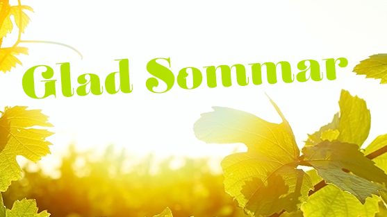 Sommarens mousserande - vilken stil väljer du?