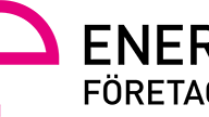 E-ftg logo 300px rgb.png