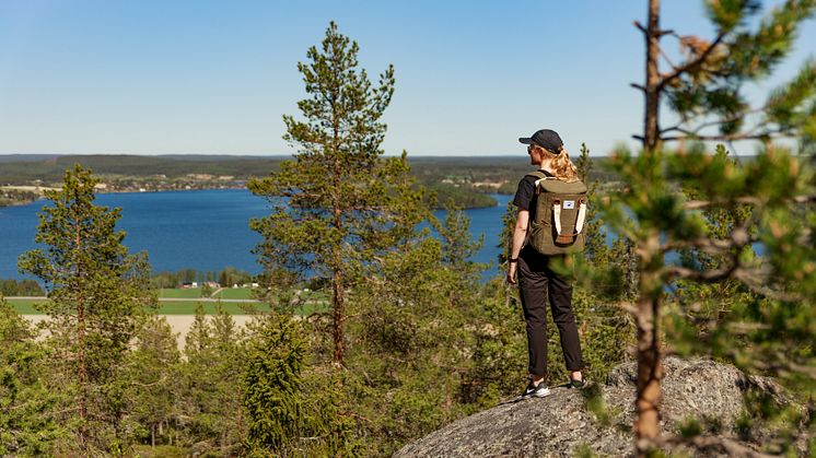Vandring Tavelsjö Tio Toppar