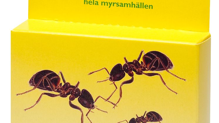 Myrfritt ute och inne med Myr Effekt