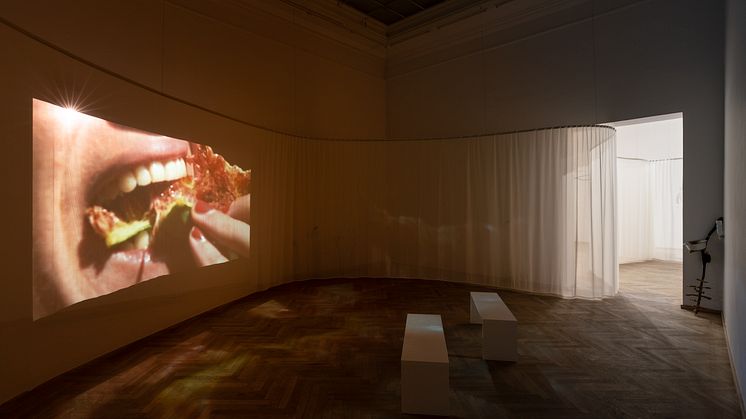 Laure Prouvost, Swallow, 2013; Prehistoric Clean Shovel, 2015