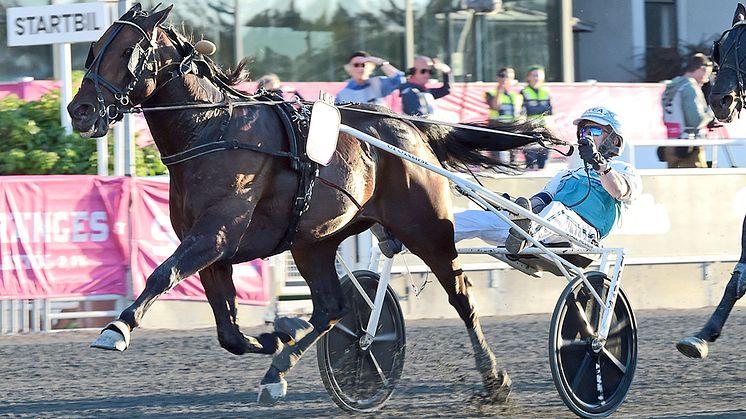 Propulsion vinnare av Elitloppet 2020 Foto: TR Bild