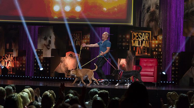 Cesar Millan
