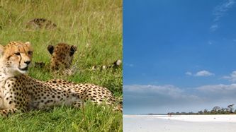 Nyhet vintern 12/13: Enveckascharter till Kenya 