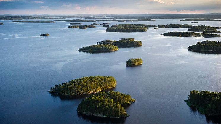 Gastland Finnland: Nachhaltige Innovationen für Zukunftssortimente auf dem Symposium
