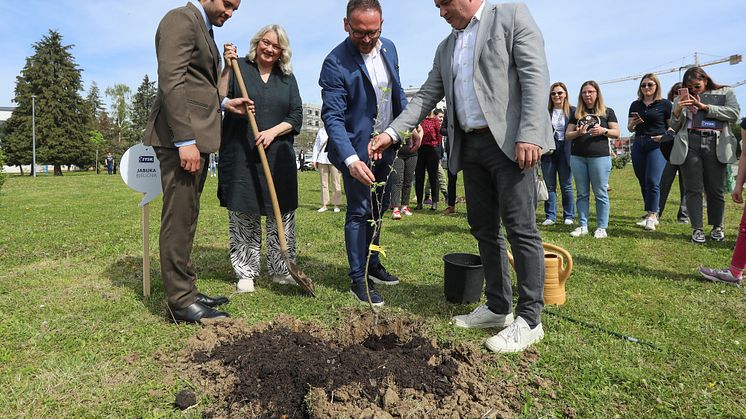 Prvi urbani javni voćnjak VG.jpg