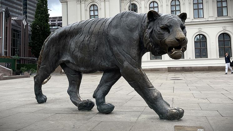 bronseskulptur, stor tiger, foran bygninger.