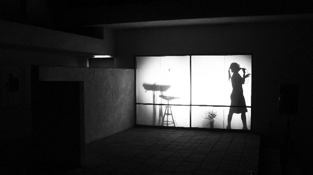 The Wittgenstein Suite av  José León Cerrillos och Sara Lundén  16.1.2012  kl 16.00