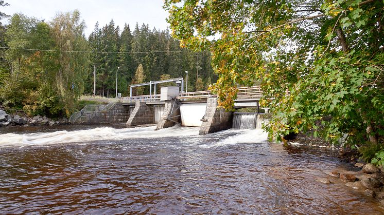 Fiskdöden i Mörrumsån inte Öresundskrafts fel