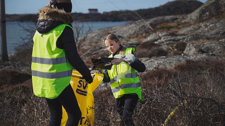 Städning av Bohuskusten fortsätter i juni. Foto: Petter Trens.