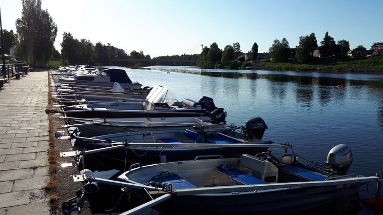Proverna vid Manhemskajen visade att nu har vattnet i Skellefteälven återgått till sin för säsongen normala mikrobiologiska kvalitet.