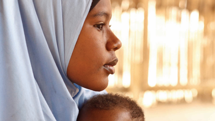 Committing to Child Survival: A Promise Renewed 2012