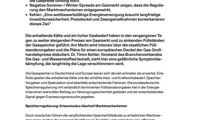 20250213_PM_Gasspeicher.pdf