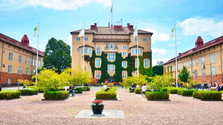 Masterprogram i utbildningsvetenskap har brister