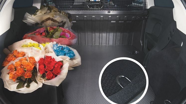 Fiesta Van