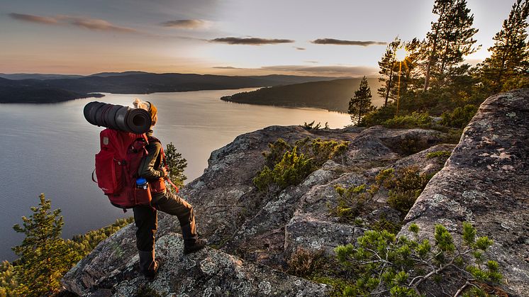 2019 – ett nytt rekordår för turismen i Höga Kusten!