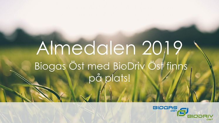 Almedalen 2019 – hör av er till oss