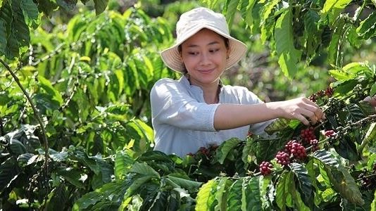 Nestlé lanserar NESCAFÉ Plan 2030 – satsning på regenerativt jordbruk, minskade växthusgaser och bättre försörjning för kaffeodlare