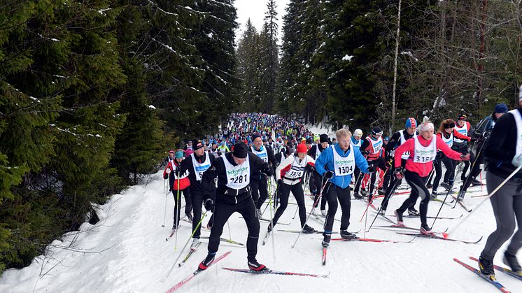 Öppet Spår 2014 