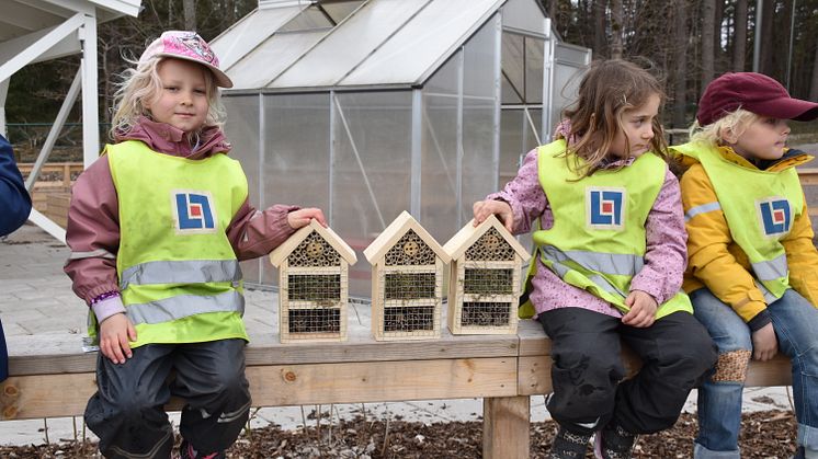 Nu ska alla kommunala förskolor ge husrum till pollinatörerna