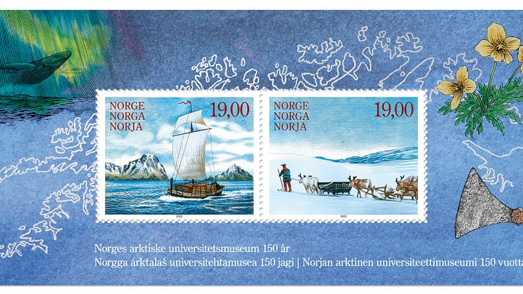 Norges arktiske universitetsmuseum