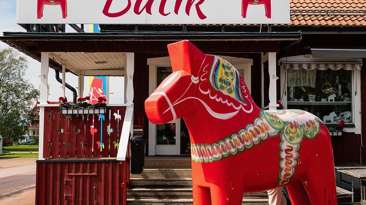 Dalarna-Dalahest2_Ingeborg_Lindseth 2.jpg