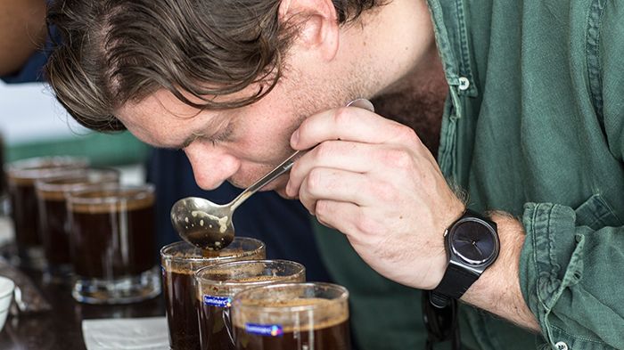 – Odling av högkvalité kaffe flyttar till allt högre altituder där det är svalare men i många länder kommer man inte högre, säger Wilhelm Nordquist, kaffeinköpare på Arvid Nordquist Kafferosteri.