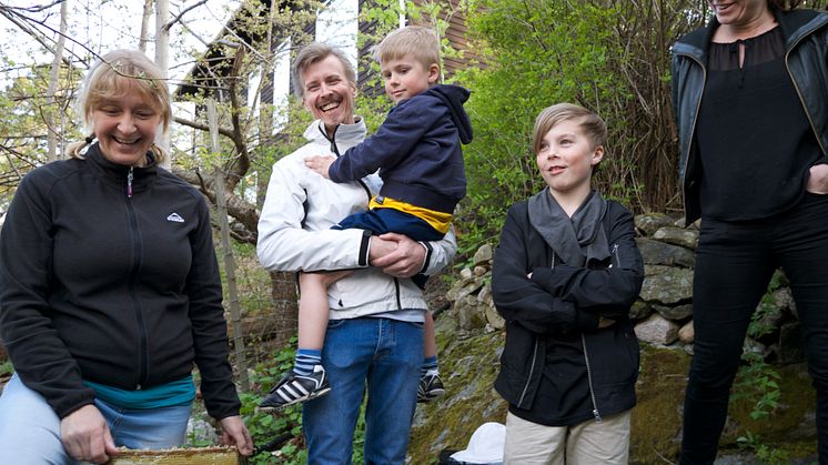 Familjen Svensson får sina bin av Lotta Fabricius Kristiansen