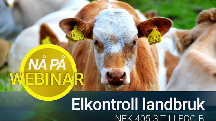 Elkontroll landbruk 405-3 Tillegg B