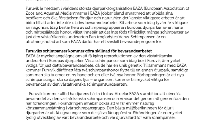 Furuvik förändrar schimpansgruppen som ett led i bevarandearbetet
