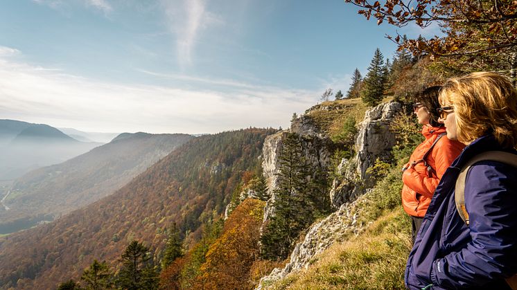 Rocher de Tablettes, La Tourne