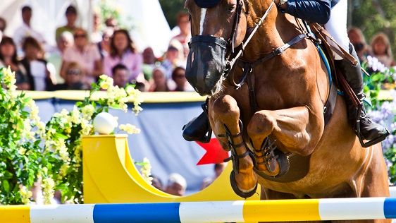 Tuff konkurrens i Furusiyya FEI Nations Cup™ i Falsterbo