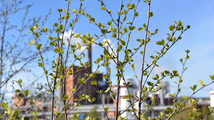 14-15 mars 2017 är det Sveriges första bioekonomiriksdag i Örnsköldsvik.