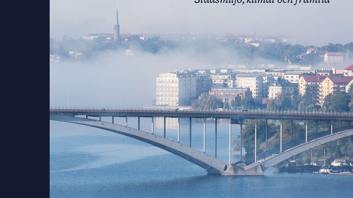 Stockholms vatten – en blandning av sött och salt 