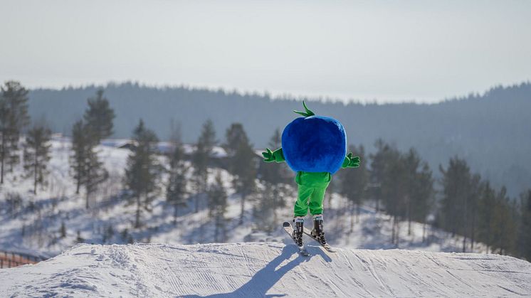 Blåbäret Bärra