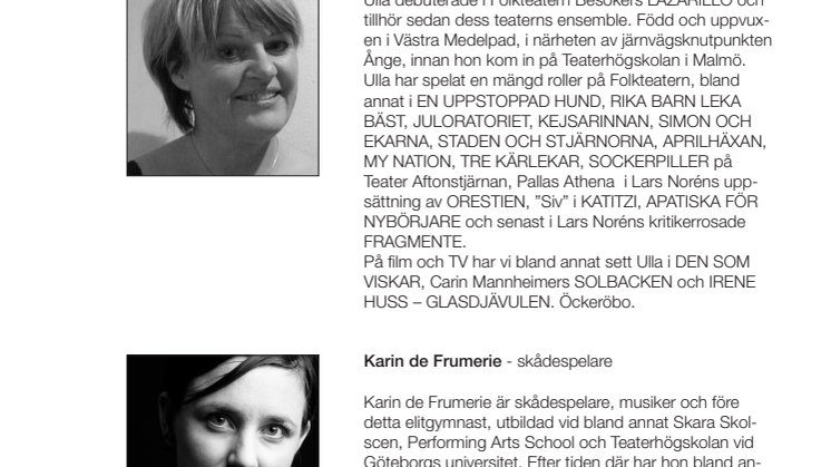 Medverkande Handläggaren