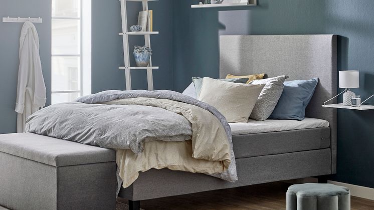 Cozy_2