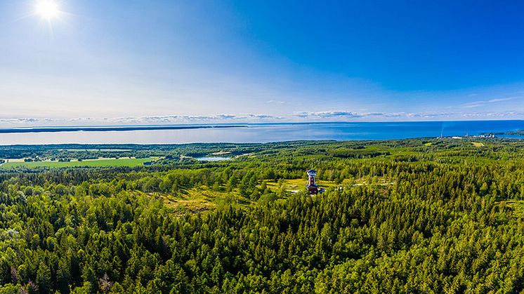 Flygbild från Götene. Foto: Jesper Anhede.